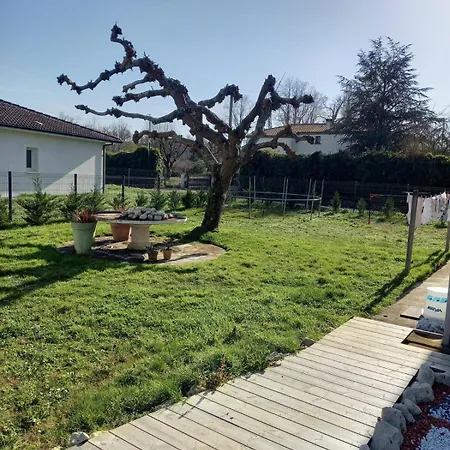 Location 홈스테이 *